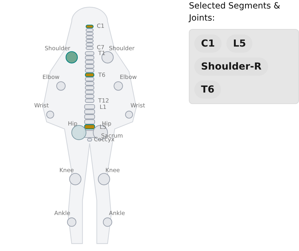 Body diagram with several segments highlighted and listed as tags