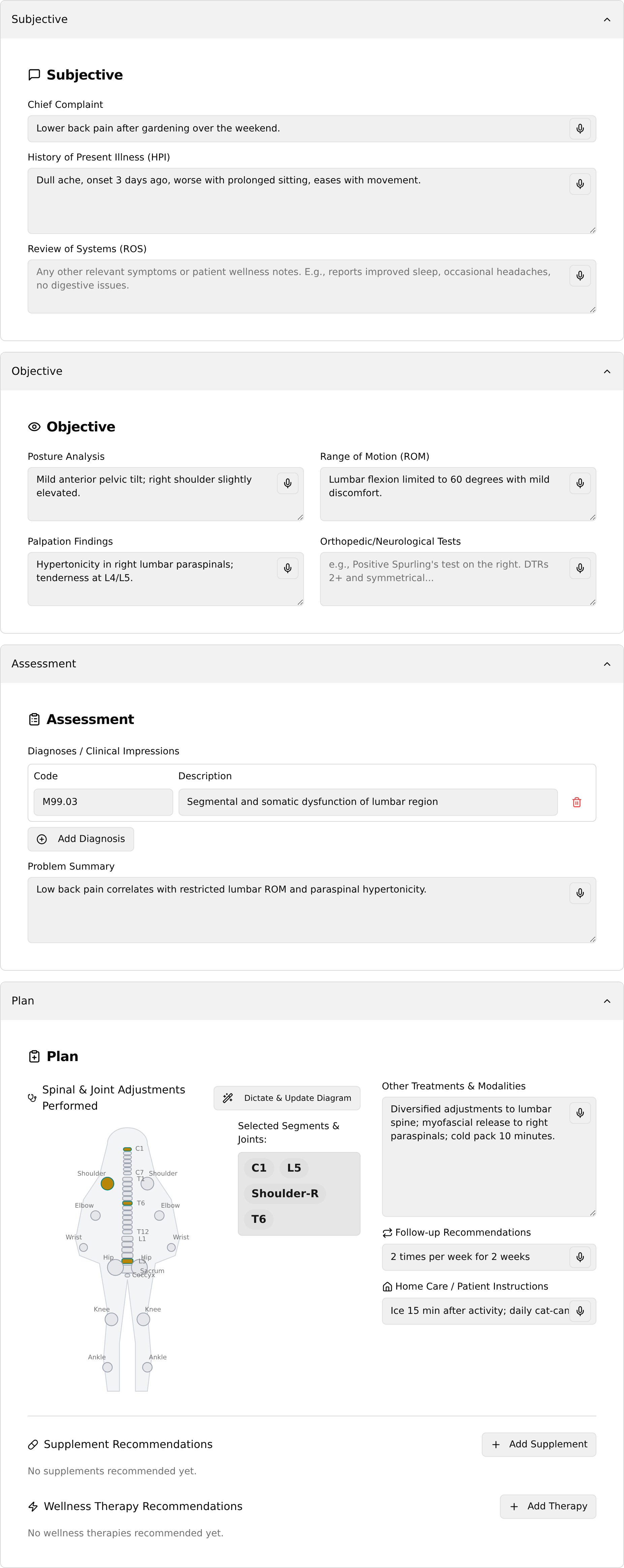 Detailed tab with Subjective, Objective, Assessment, and Plan sections filled in