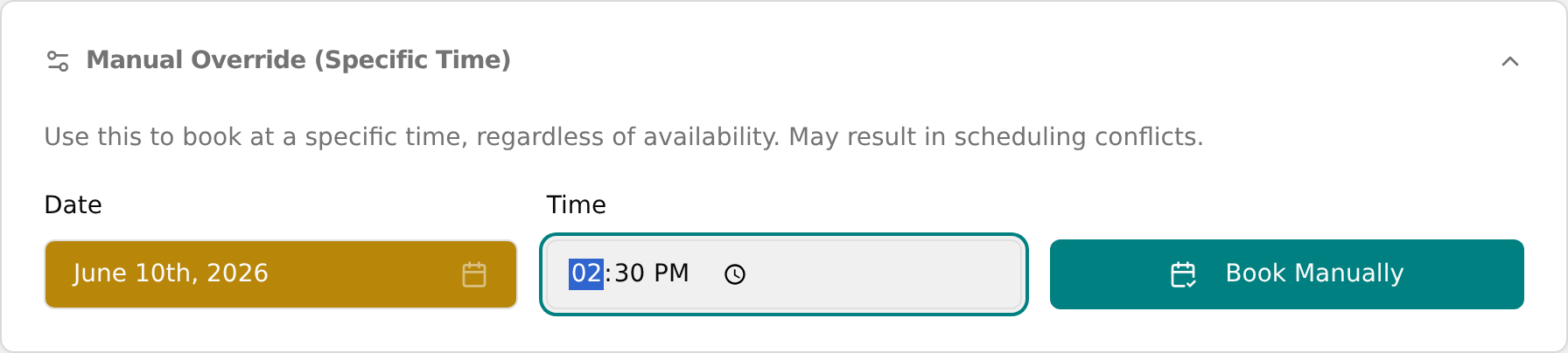 Expanded Manual Override section with Date and Time fields