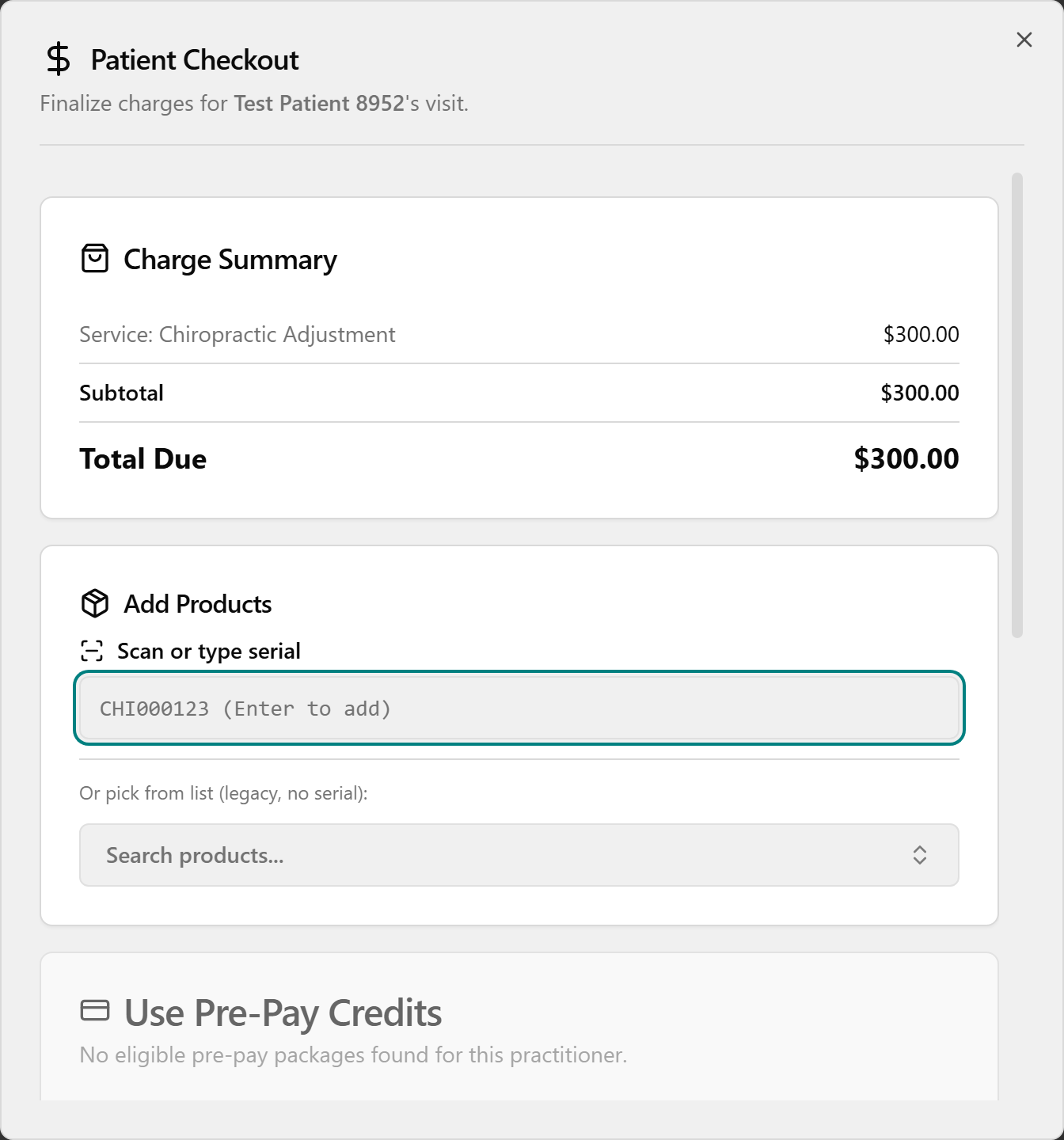 The Patient Checkout dialog open from the Schedule, showing the visit and the Charge Summary.